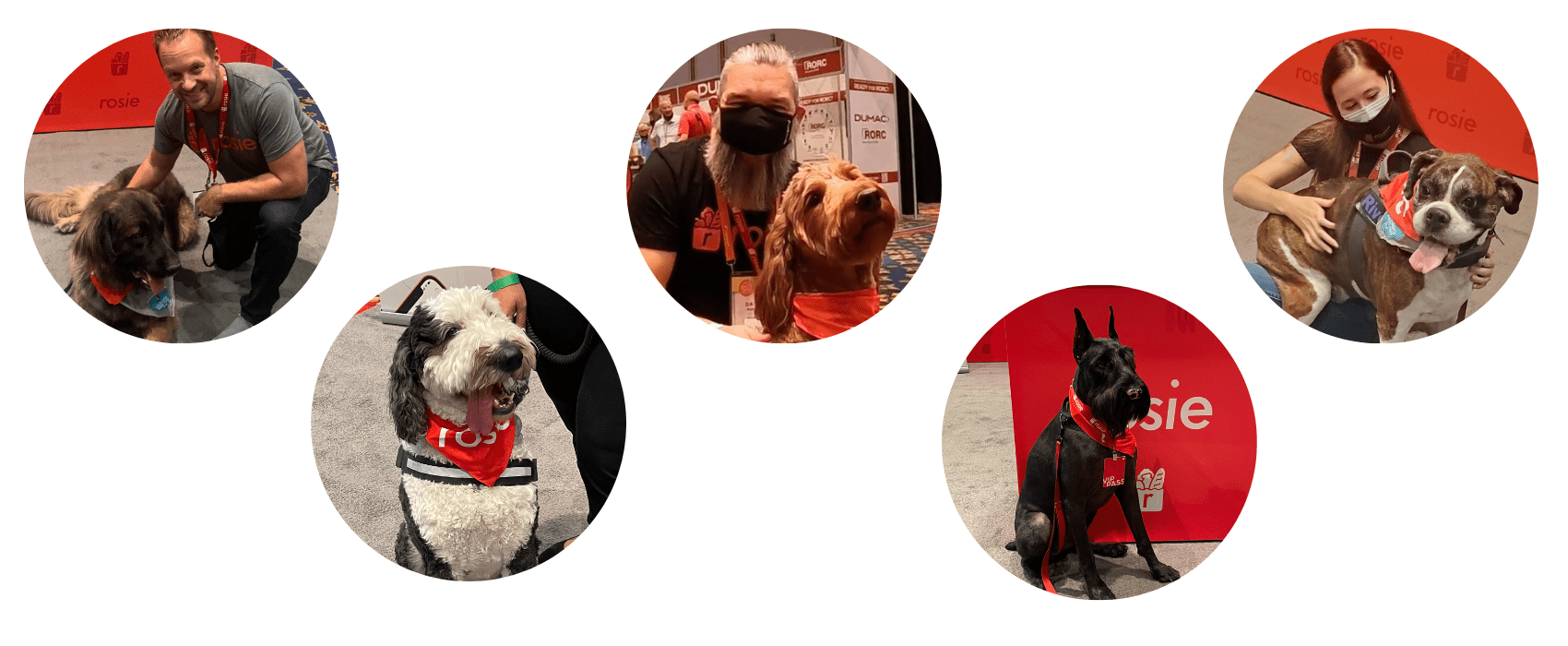 Pictures of five dogs in a Rosie bandana at the booth, some pictured with Rosie team members